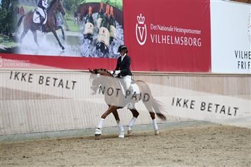 181887_mtp_02_R62_7788.JPG