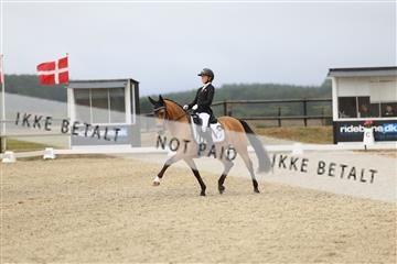 181894_mtp_04_R62_3412.JPG