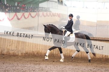 170266_mtp_01_3M5A0450.JPG