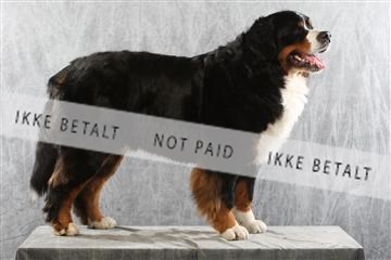 129608_le_ 02_0198.JPG