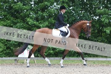 135518_ms_01_IMG_0870.JPG