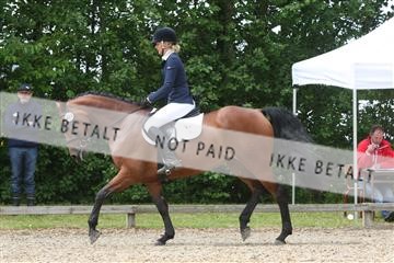 135518_ms_01_IMG_1547.JPG