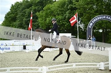 181449_kbb_03_Z090627.JPG