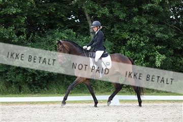 172073_mtp_01_3M5A3136.JPG