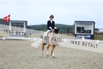 181894_mtp_04_R62_3763.JPG