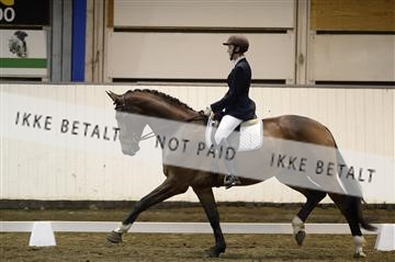 141472_abo_01__AB15771.JPG