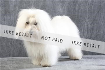 129608_le_ 01_0301.JPG