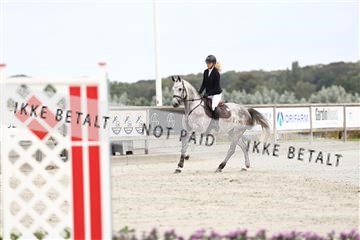 181922_avh_02_1464.JPG