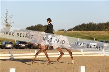148862_sg_01_IMG_2201.JPG