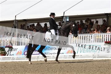 125527_BC_08_IMG_9123.JPG