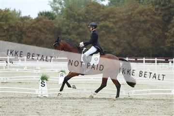 181923_mtp_03_R62_7802.JPG