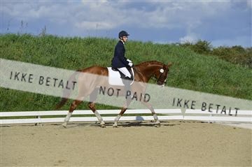 136195_abo_01__AB16524.JPG