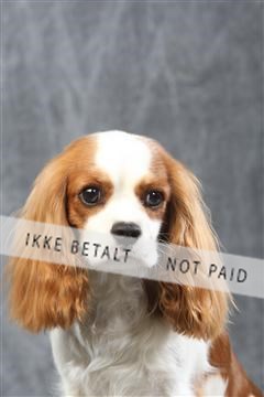 129608_le_ 01_0479.JPG