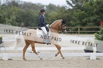 166629_rhj_01_J7R4768.JPG