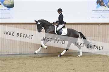160111_nn_01__ESK1950.JPG