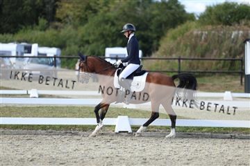 181894_mtp_05_R62_5248.JPG