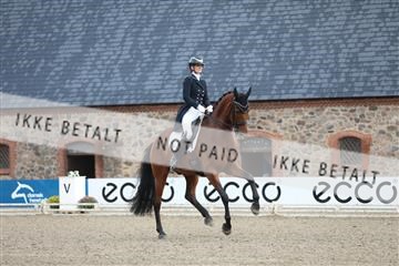181957_mtp_06_3M5A0509.JPG