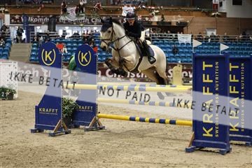 175934_avh_02_7342.JPG