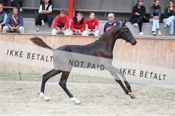 181868_mtp_03_R62_5755.JPG