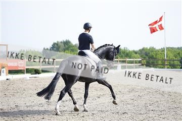 181449_kbb_02_6II1365.JPG