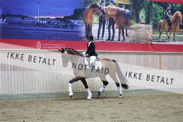 181887_mtp_02_R62_7688.JPG
