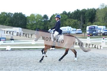 181894_mtp_05_R62_5474.JPG