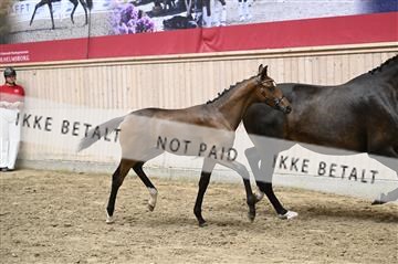 181754_kbb_01_Z093867.JPG