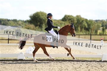 181894_mtp_02_R62_2279.JPG