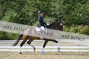 136195_abo_01__AB16071.JPG