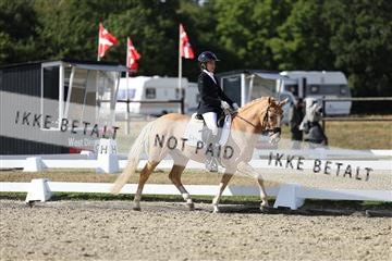 181894_mtp_05_R62_4813.JPG