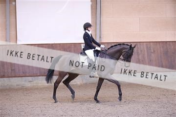 173821_mtp_01_3M5A9318.JPG