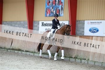 181867_mtp_01_R62_4102.JPG