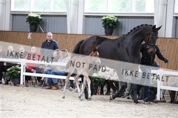 179088_mtp_01_3M5A3422.JPG