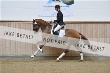 160111_nn_01__ESK1766.JPG
