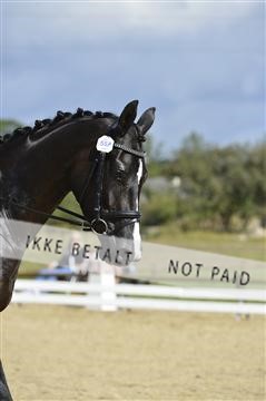 136195_abo_01__AB16286.JPG