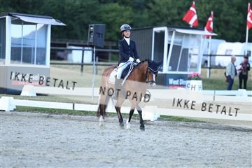 181894_mtp_05_R62_5443.JPG
