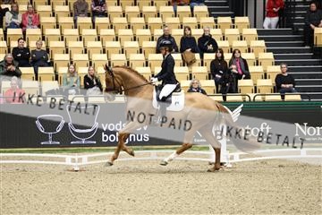178838_mtp_04_0E6A4114.JPG