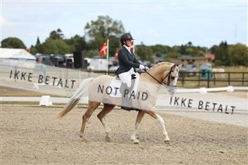 181894_mtp_03_R62_2738.JPG