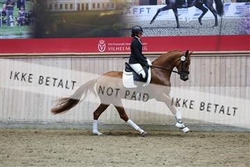 181887_mtp_05_R62_9575.JPG