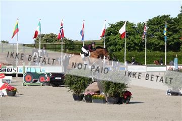 181436_avh_01_3195.JPG
