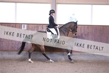 173821_mtp_01_3M5A8890.JPG