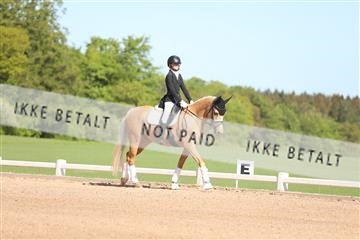 174638_mtp_01_3M5A2981.JPG