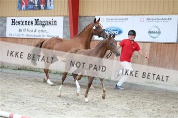 181868_mtp_03_R62_5900.JPG