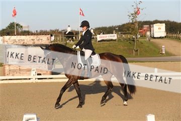 148862_sg_01_IMG_2100.JPG