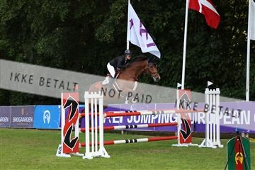 181805_mlm_02_R62_6304.JPG