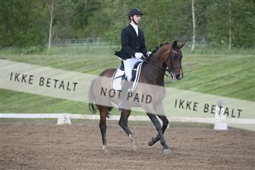 147698_nn_01_IMG_0227.JPG