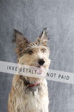 129608_le_ 01_0216.JPG