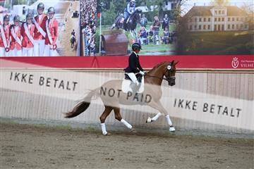 181887_mtp_02_R62_7461.JPG