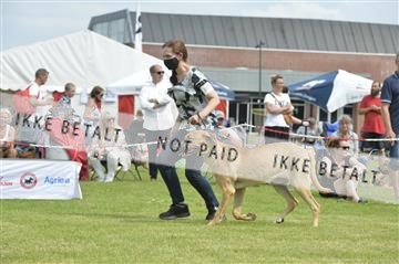 168981_bkn_01__MHR0333.JPG