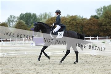 181923_mtp_01_R62_6976.JPG